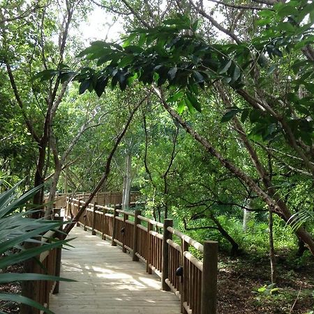 Mayan Palace Vidanta Resort Riviera Maya Puerto Morelos Ngoại thất bức ảnh